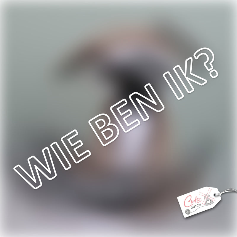 Even voorstellen!
