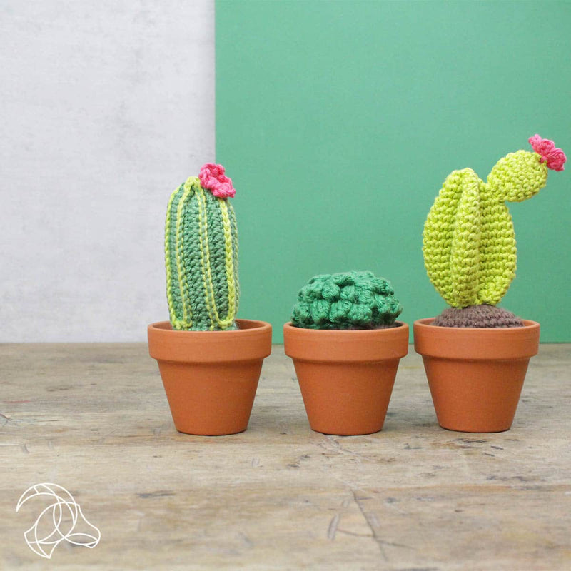 HardiCraft Haakpakketten Haakpakket: HardiCraft Cactussen