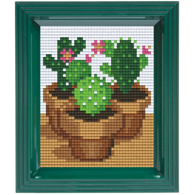 Pixelhobby DIY-Pakketten Pixelhobby Giftpack Cactus met lijst