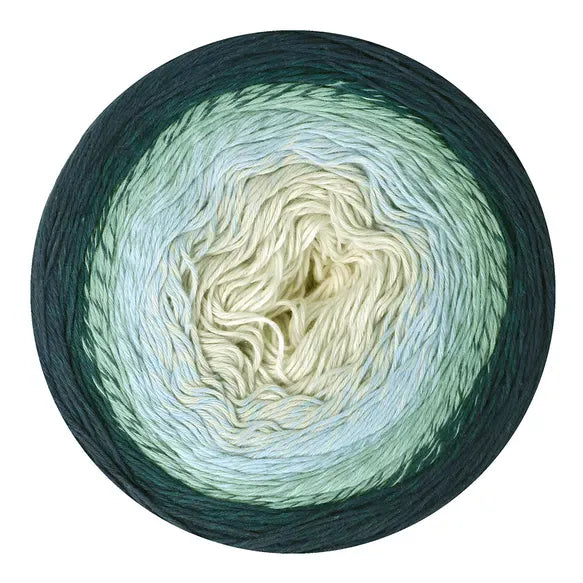 Scheepjes Wol & Garens Scheepjes Cotton Whirl 731 Blueberry Swirl