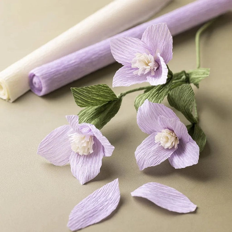 Creotime DIY-Pakketten DIY-pakket: Crepepapier Bloemen Lenteboeket