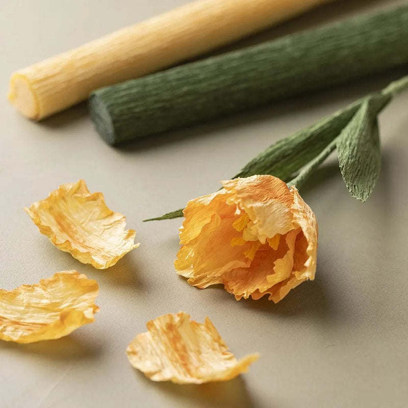 Creotime DIY-Pakketten DIY-pakket: Crepepapier Bloemen Lenteboeket