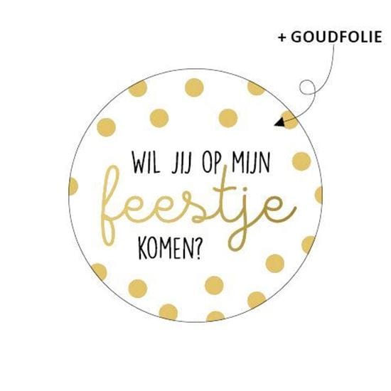 CuteDutch Stationary Stickers - Wil jij op mijn feestje komen? (12 stuks)