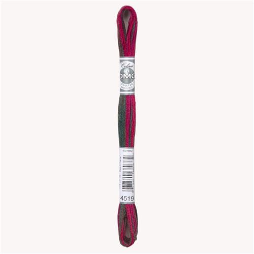 DMC Borduurgaren DMC Mouliné Coloris 4519